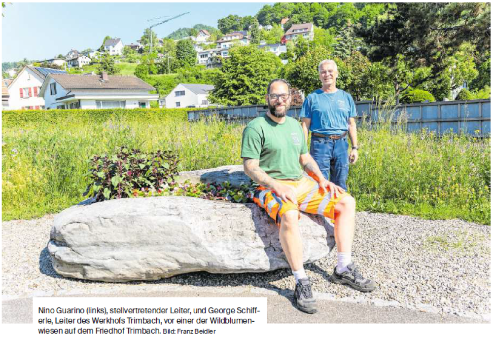 Blütenpracht für das ganze Dorf - Bericht im Oltner Tagblatt (1/1)